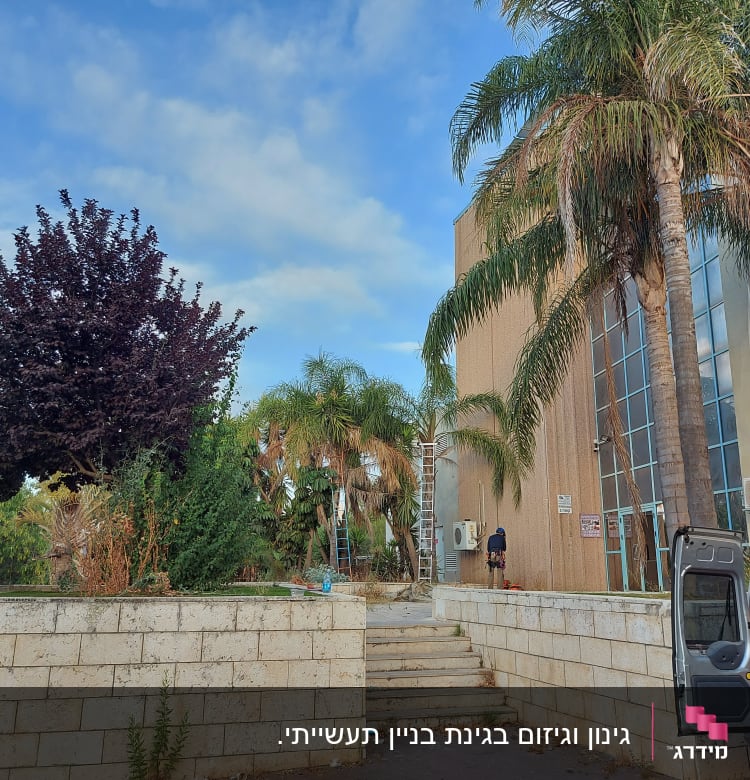אדם עובד בגינה עם סולם ועצים מסביב